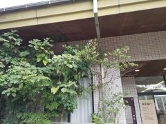 熊本銀行宮地支店