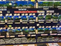 ペッツワン南砂町ＳＵＮＡＭＯ店