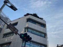 はしもとクリニック耳鼻咽喉科