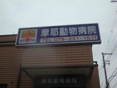 摩耶動物病院