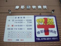 摩耶動物病院