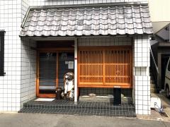 銀鮨