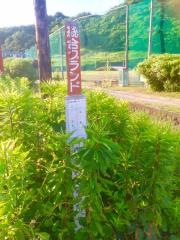 「総合グランド(下田市)」バス停留所