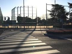 栃木県総合運動公園軟式野球場