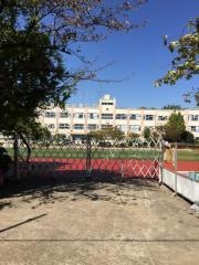 大谷田小学校