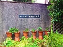 田井小学校