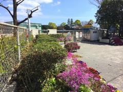 吉野東小学校
