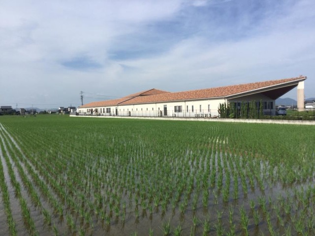 穂香の里