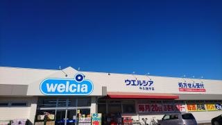 ウエルシア　牛久猪子店