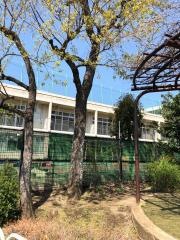 土支田保育園