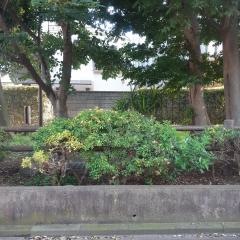蕪ヶ谷戸緑地