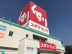 スギ薬局　豊田高崎店