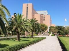 川崎医療福祉大学
