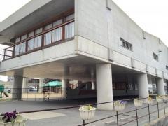 青葉桐の花保育園
