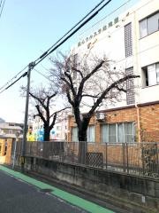 聖心ウルスラ幼稚園