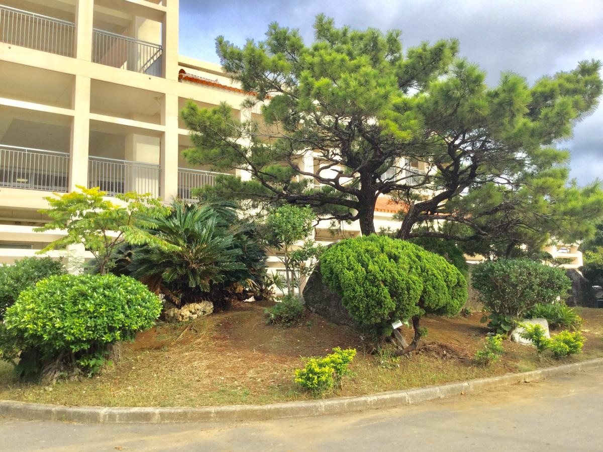浦添小学校
