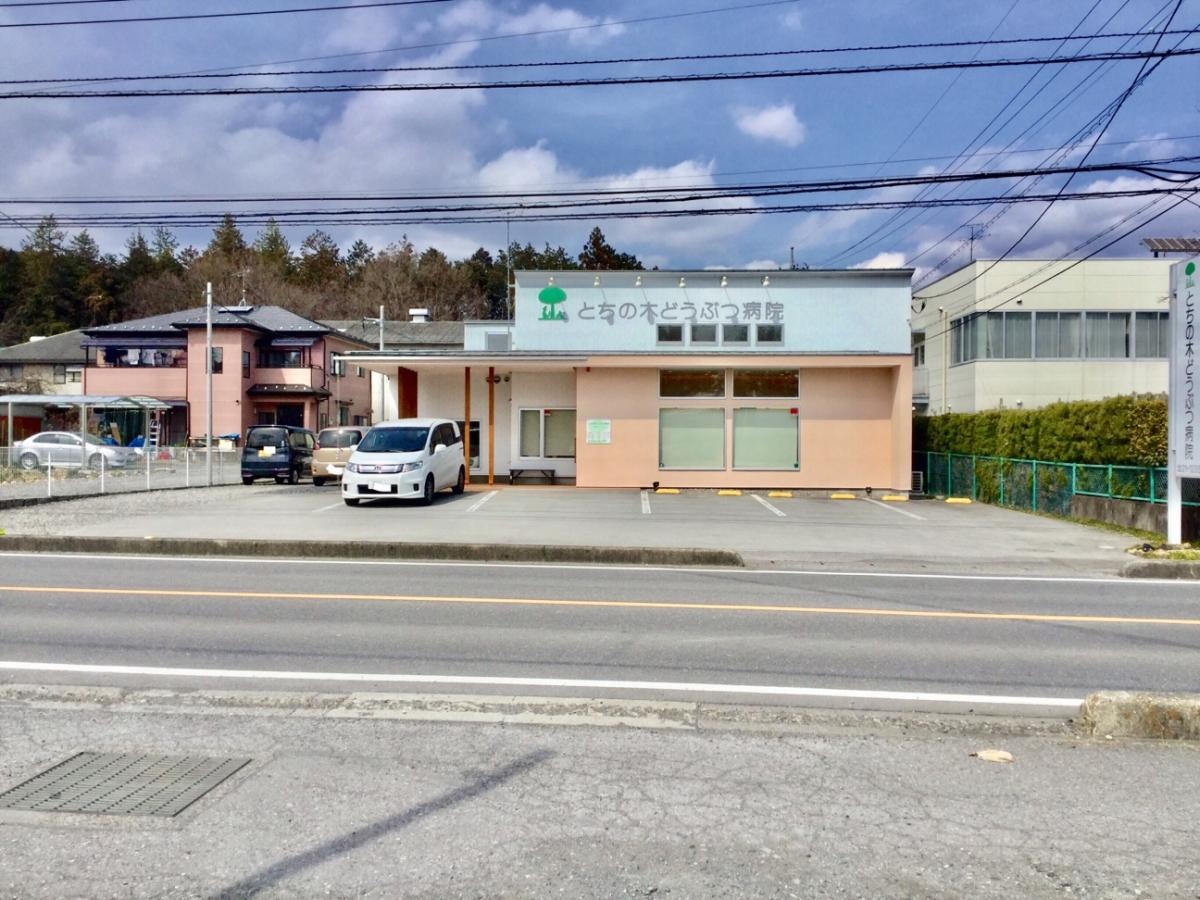 とちの木動物病院