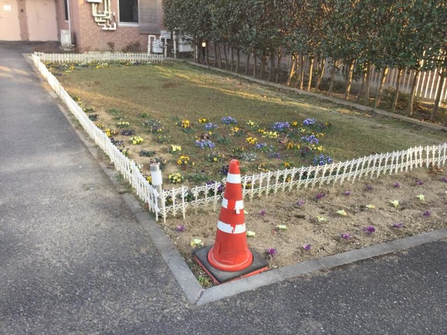 千の星・よこはま