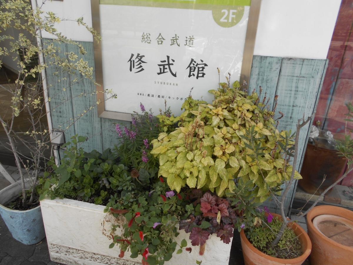 外観です。