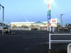 コメリハード＆グリーン　瓜連店