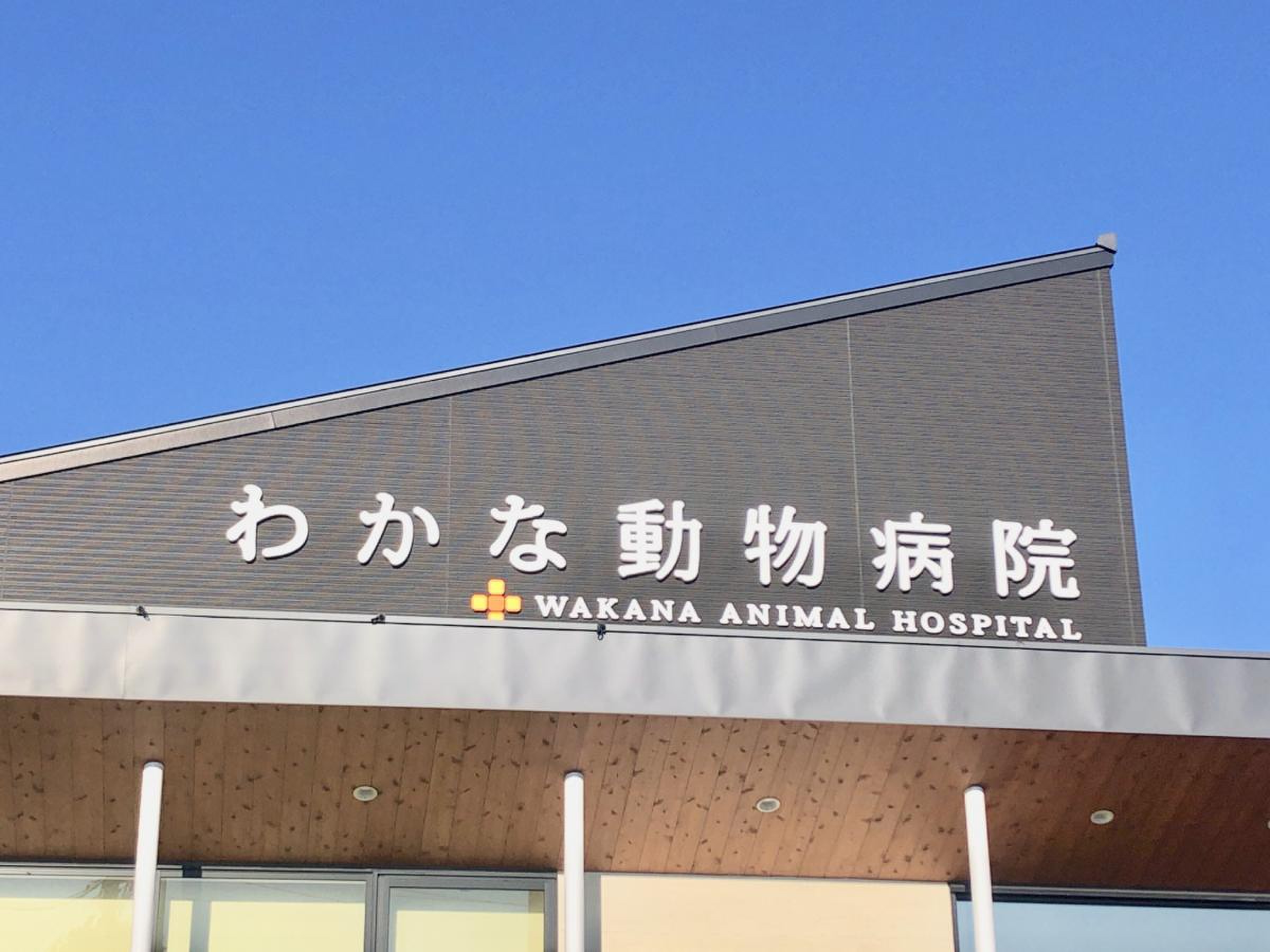 わかな 動物 病院