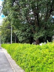 西山中公園