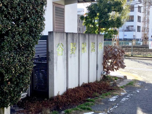 投稿写真7