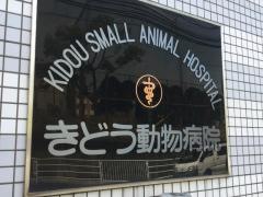 きどう動物病院