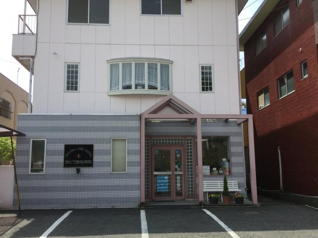 投稿写真1