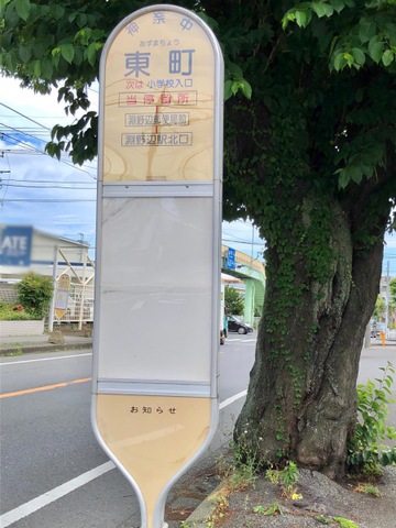 投稿写真2