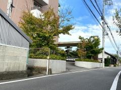 朝生田の杜