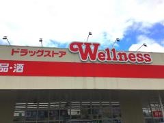 ドラッグストアウェルネス　境港渡店