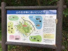 戸祭山緑地