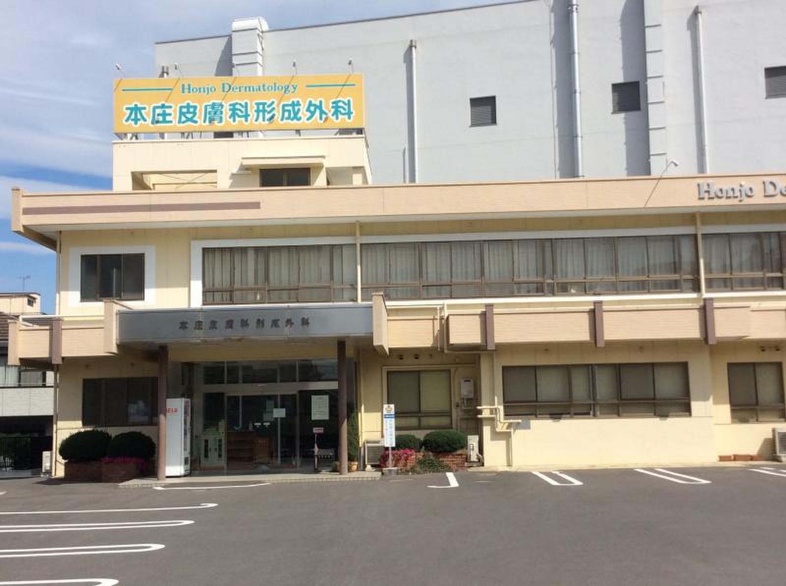 活動歴および当時の関連ビジュアル記録