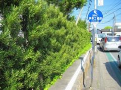「伊勢工高前」バス停留所