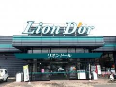 リオン・ドール浅川店