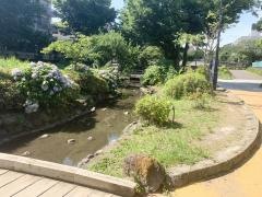 大横川親水公園