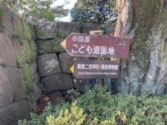 小田原市城址公園こども遊園地
