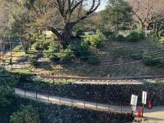 小田原市城址公園こども遊園地