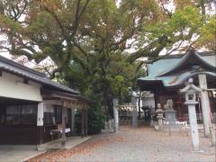 須賀神社