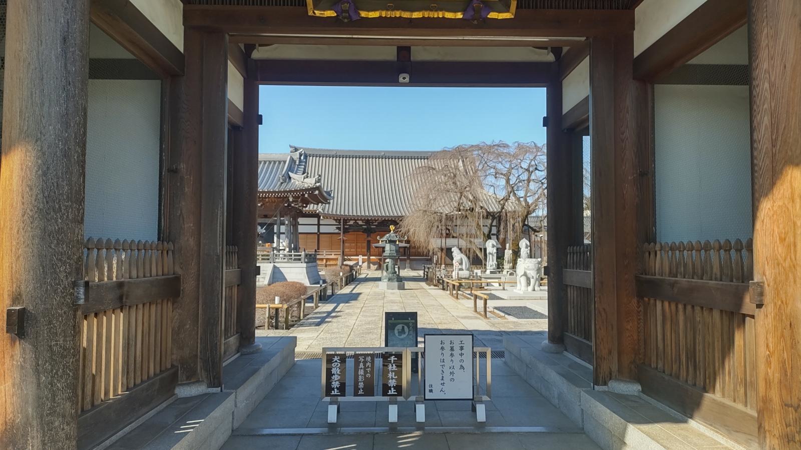 円乗院　境内外観