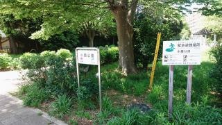 小園公園
