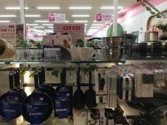 ザ・ダイソー　アピタタウン稲沢店