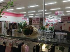 ザ・ダイソー　アピタタウン稲沢店