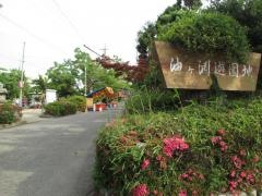油ヶ渕花しょうぶ園