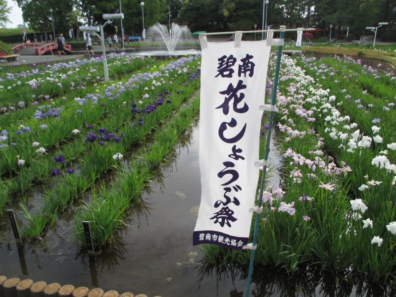 油ヶ渕花しょうぶ園　花しょうぶ祭の風景
