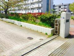 橘小学校