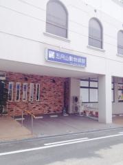五月山動物病院
