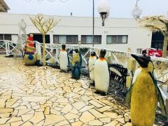ザアクアガーデン