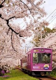 宇多野駅